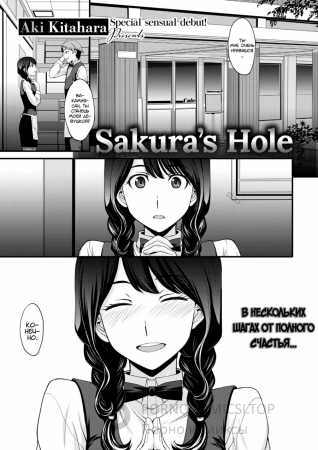   Sakura's Hole  