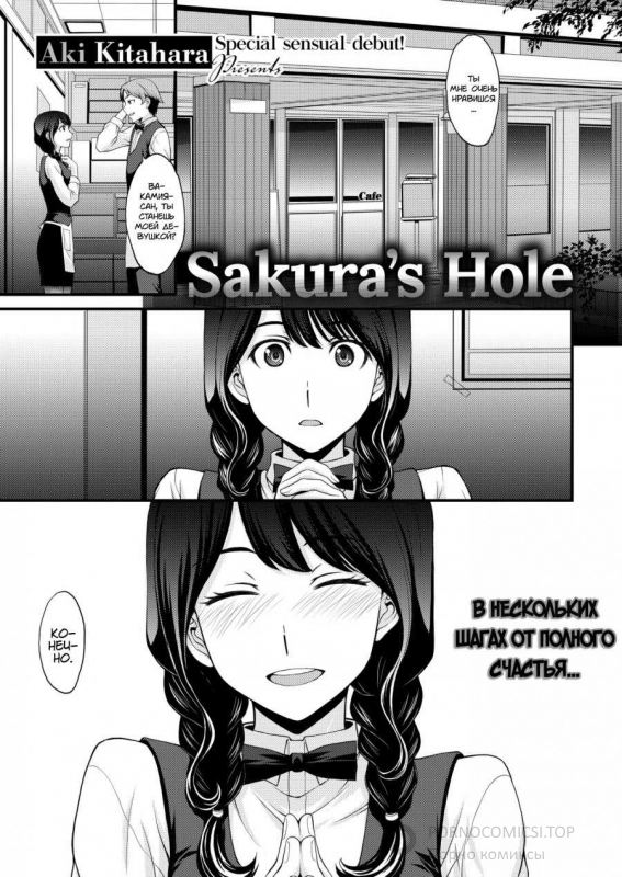 Sakura's Hole  1